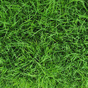 X-Odstranění přírodních skvrn