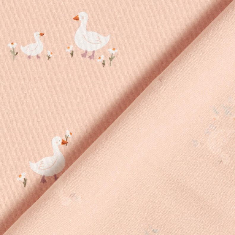 Bavlněný žerzej Husy a květiny – rose,  image number 4