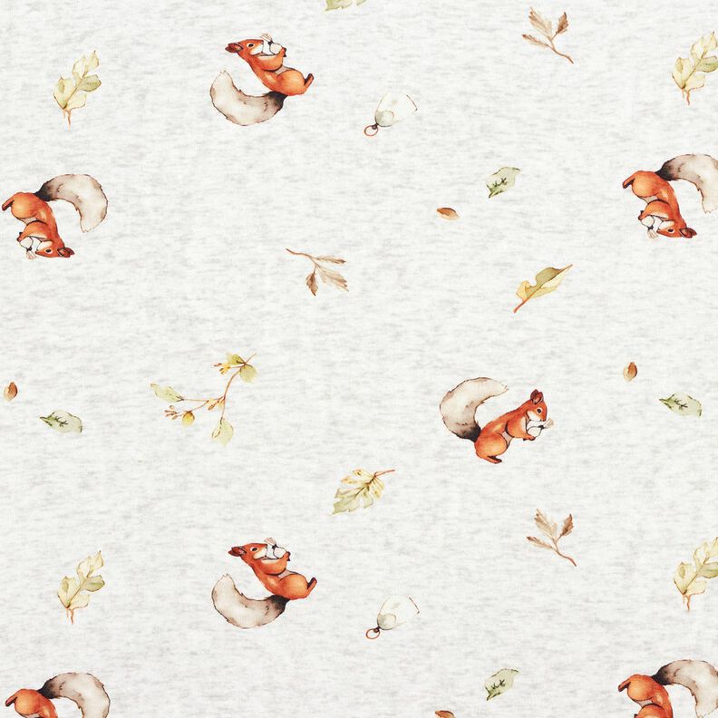 Alpenfleece Veverka – přírodni/světle šedá,  image number 1