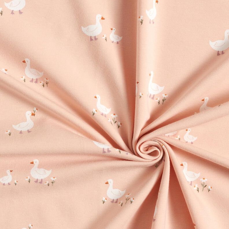 Bavlněný žerzej Husy a květiny – rose,  image number 3