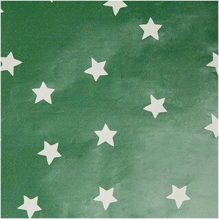 Dárkový papír Hvězdy | Rico Design – zelená, 