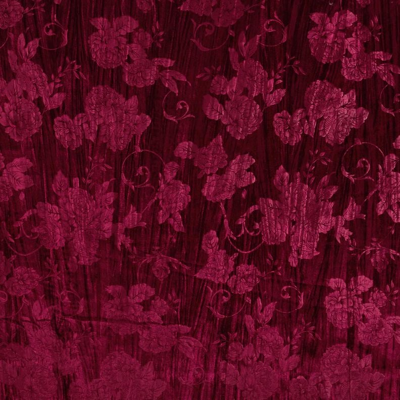 Chryzantéma Krashmeh – bordó,  image number 1