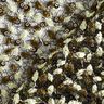 Krajková látka s květinovými úponky a pajetkami – černá/olivová,  thumbnail number 4