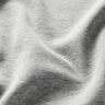 Alpenfleece Melír – stříbrně šedá,  thumbnail number 3