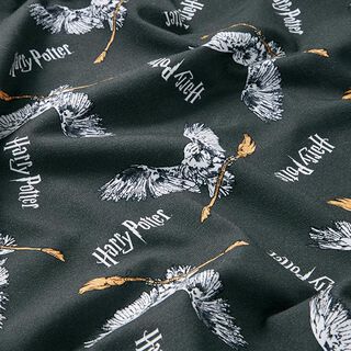 Bavlněný žerzej Licenční látky Harry Potter, Hedvika s koštětem | Warner Bros. – břidlicově šedá, 