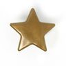 Patentky Color métallique Snaps hvězda 2 - zlatá kovový| Prym,  thumbnail number 1