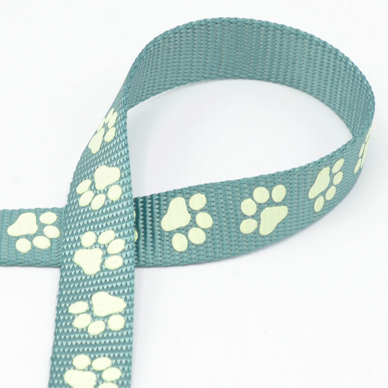Reflexní tkaná páska Vodítko pro psa Tlapky [20 mm] – šalvějová,  image number 1