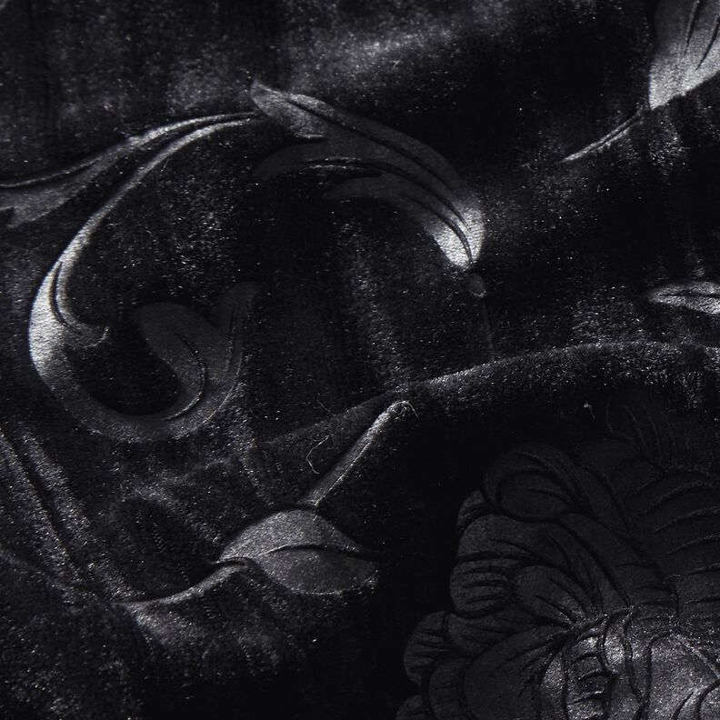 Chryzantéma Krashmeh – černá,  image number 2