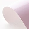Vinylová fólie se změnou barvy za studena Din A4 – rose/pink,  thumbnail number 4