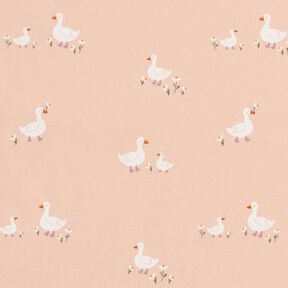 Bavlněný žerzej Husy a květiny – rose, 