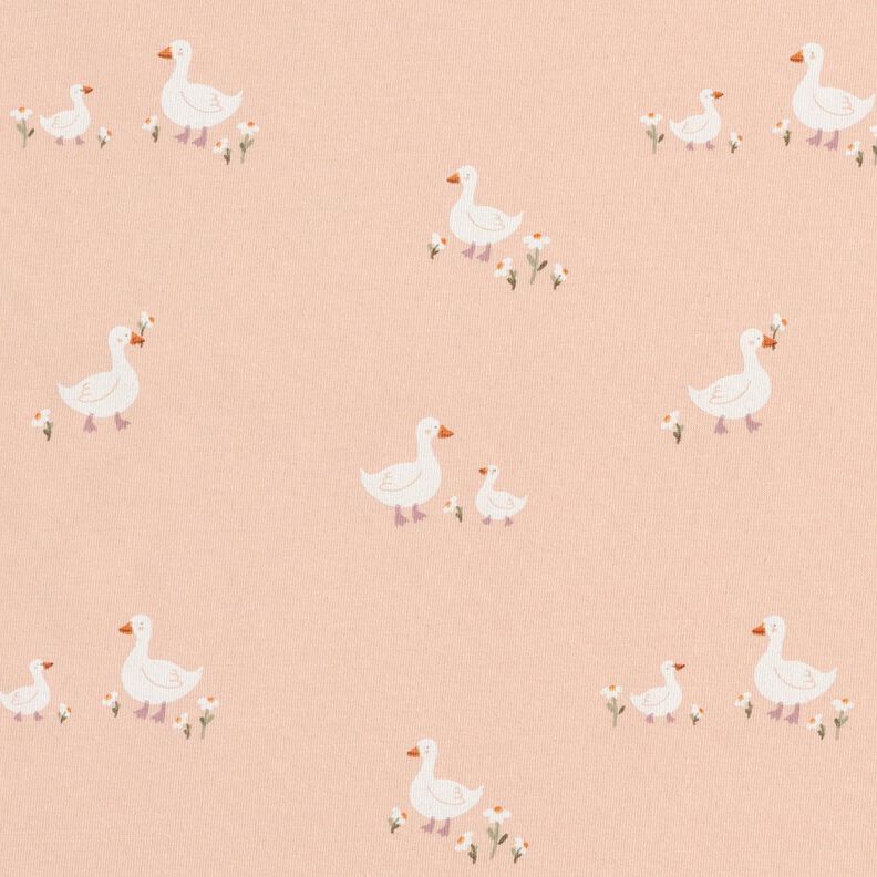 Bavlněný žerzej Husy a květiny – rose,  image number 1
