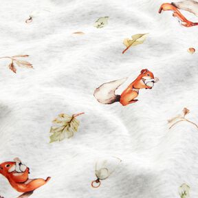 Alpenfleece Veverka – přírodni/světle šedá,  Alpenfleece Veverka – přírodni/světle šedá,