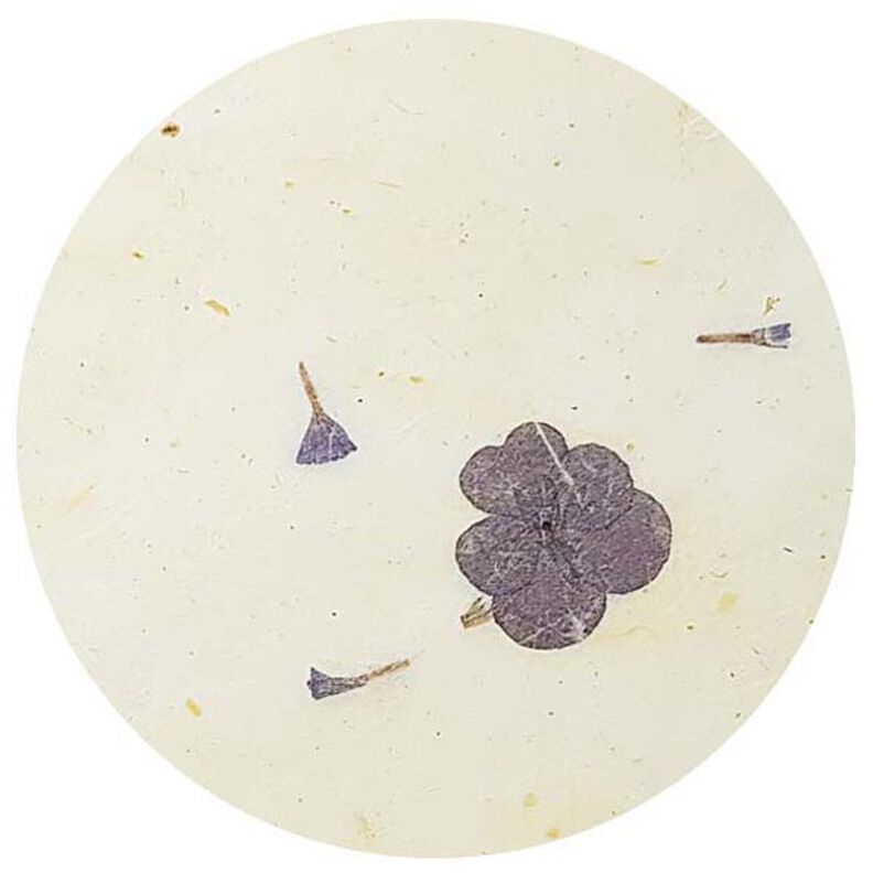 Sada přírodních papírů  "Paper Nature Viola",  image number 3