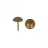 Čalounické hřebíky [ 17 mm | 50 Stk.] – starostaré zlato kovový,  thumbnail number 2