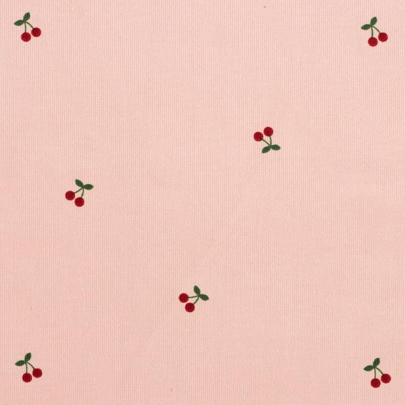 D?tsk&yacute; man&scaron;estr T?e&scaron;n? &ndash; sv?tle r?žov&aacute;,  image number 1