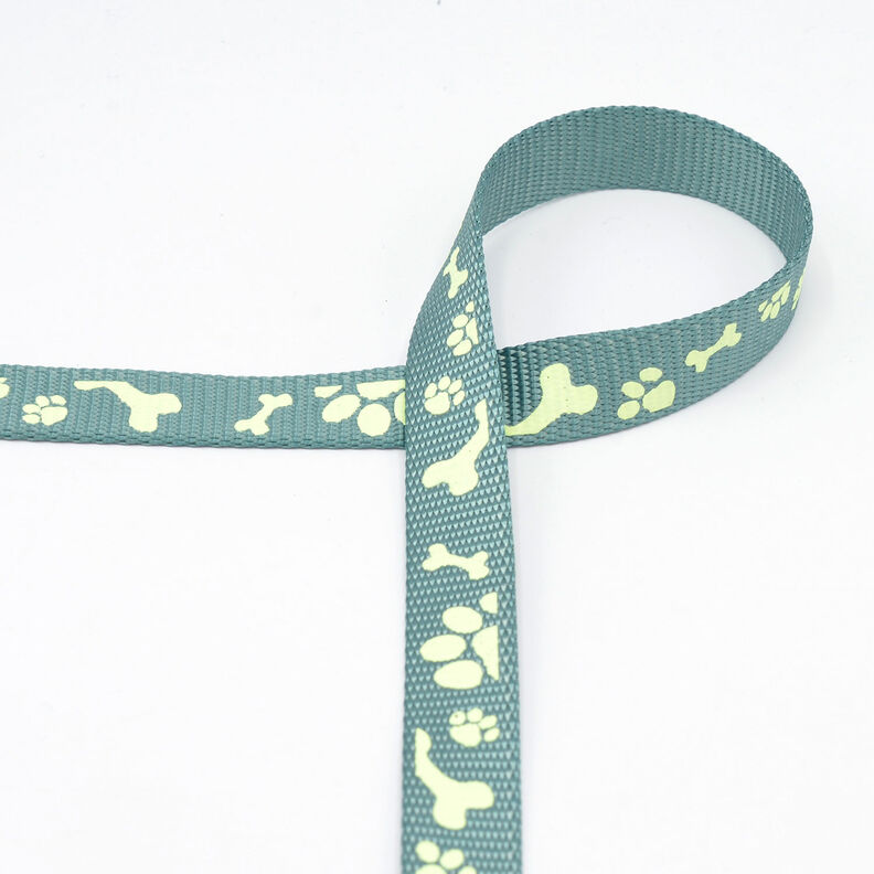 Reflexní tkaná páska Vodítko pro psa [20 mm]  – šalvějová,  image number 2