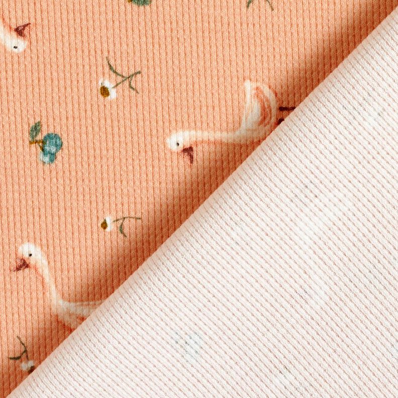 Vaflov&yacute; žerzej Husy a květiny &ndash; lososov&aacute;,  image number 4