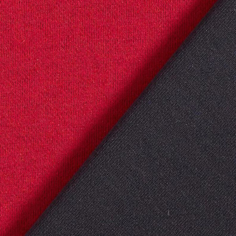 Doubleface Jersey Uni – karmínově červená/noční modrá, image number 4