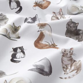 Bavlněný popelín šťastné kočky digitální potisk | Poppy Fabrics – bílá, 