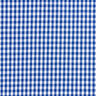 Bavlněná látka Vichy károvaná 0,5 cm – královská modr/bílá,  thumbnail number 1