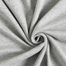 Alpenfleece Melír – stříbrně šedá,  thumbnail number 1