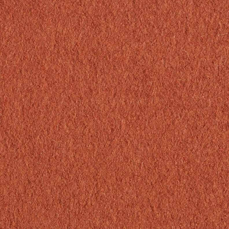 Valchovaný vlněný loden – terracotta,  image number 8