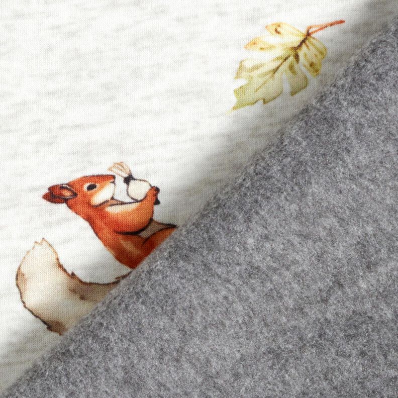 Alpenfleece Veverka – přírodni/světle šedá,  image number 4