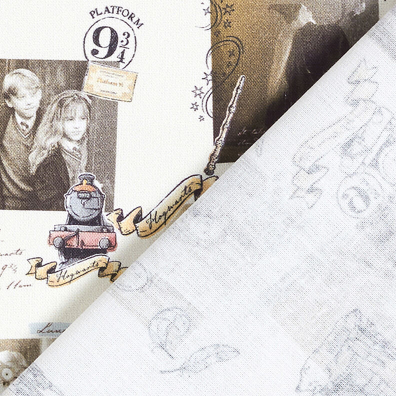 Kreton Licenční látky „Harry Potter“ Vzpomínky | Warner Bros. – světle béžová,  image number 4