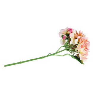 Hortenzie Pick | Rayher – pink, 