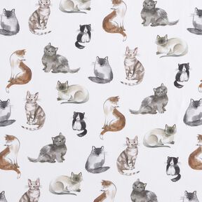 Bavlněný popelín šťastné kočky digitální potisk | Poppy Fabrics – bílá, 