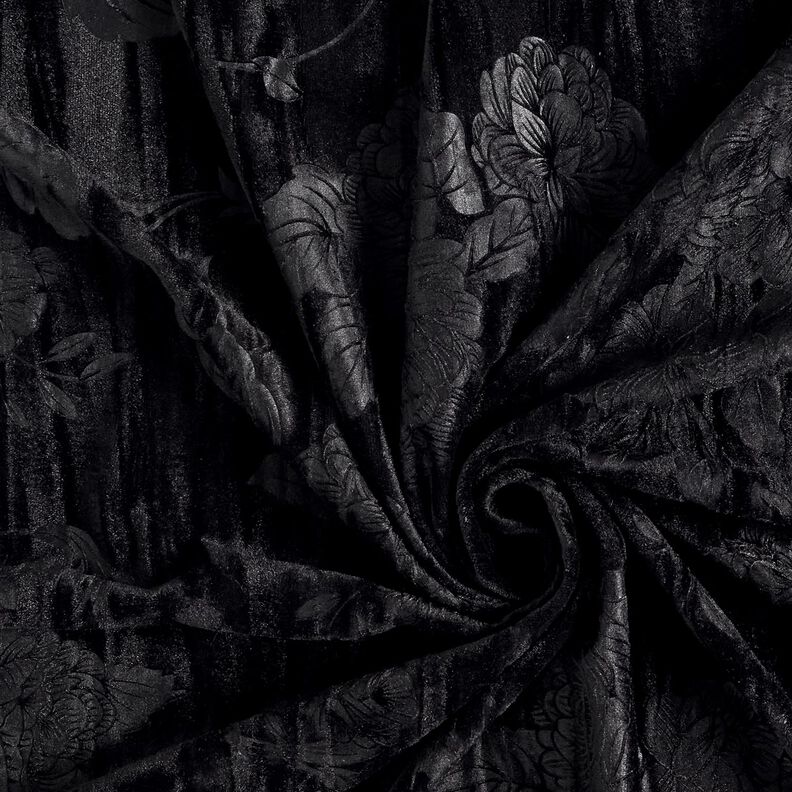 Chryzantéma Krashmeh – černá,  image number 3